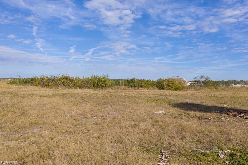 View of local wilderness