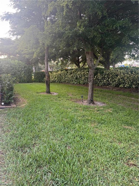 Backyard with privacy!