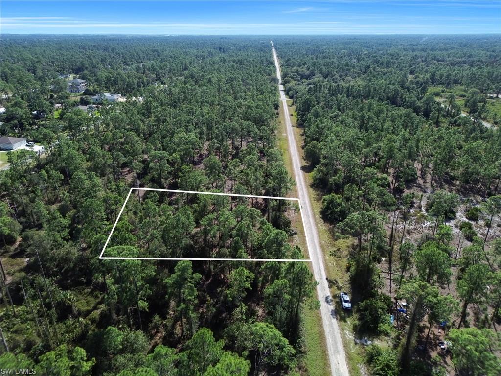 Aerial view of property and surrounding area with a heavily wooded area and property boundaries highlighted