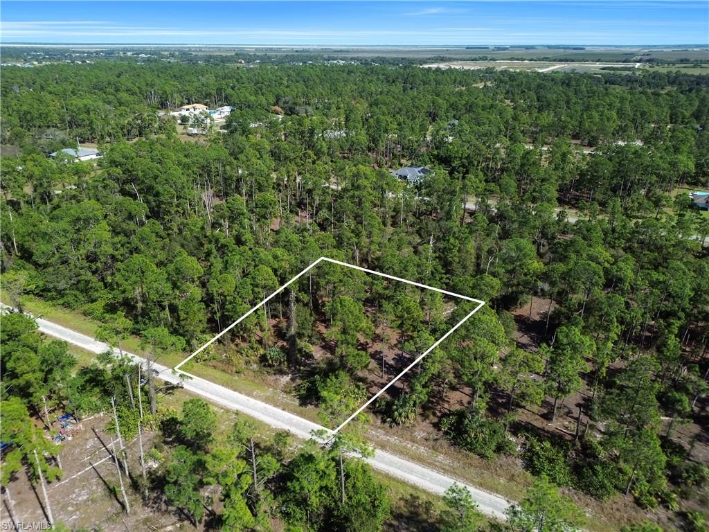 View of property location featuring property boundaries highlighted and a forest