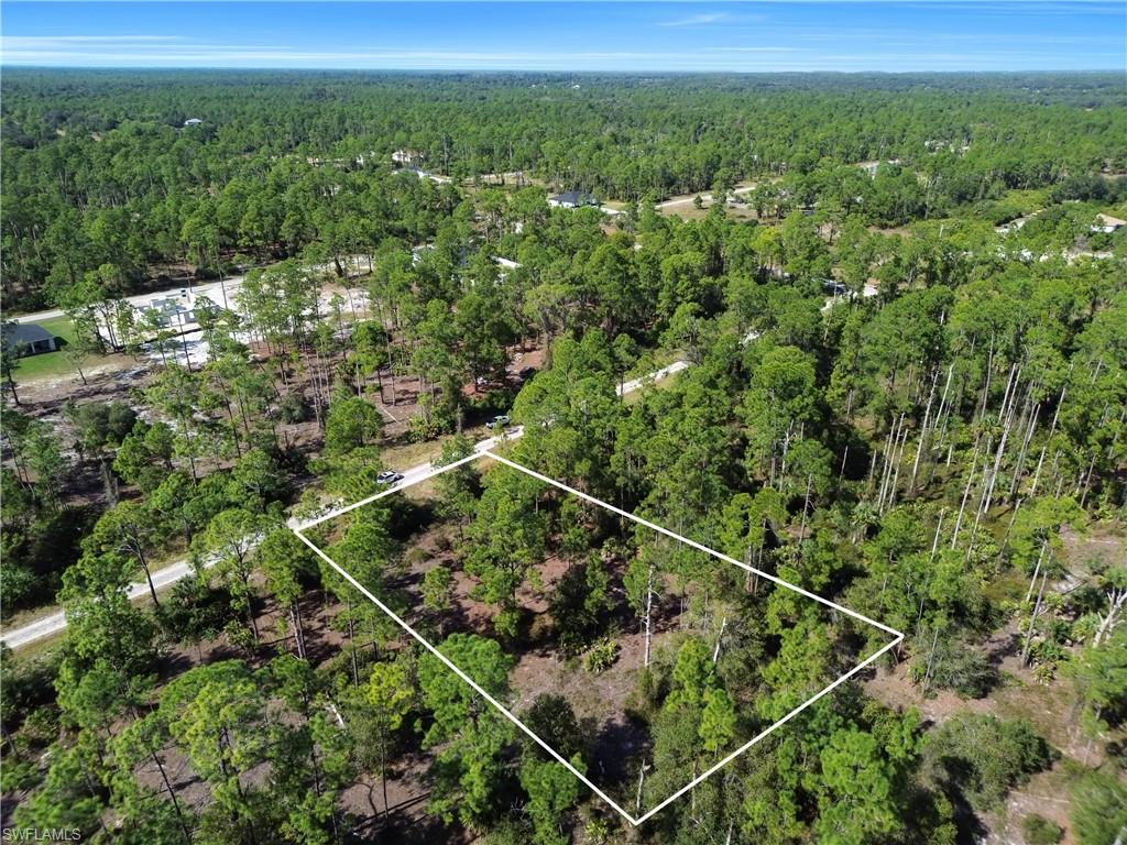 Aerial view of property and surrounding area with a forest and property boundaries highlighted