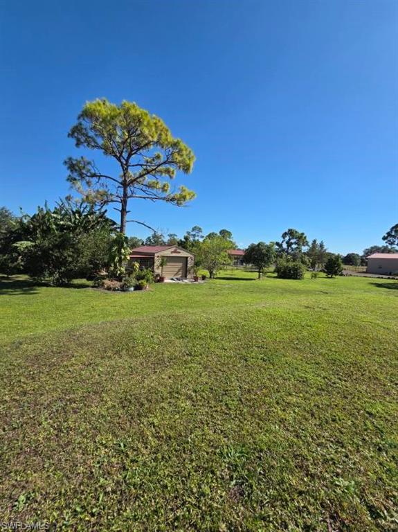 View of grassy yard