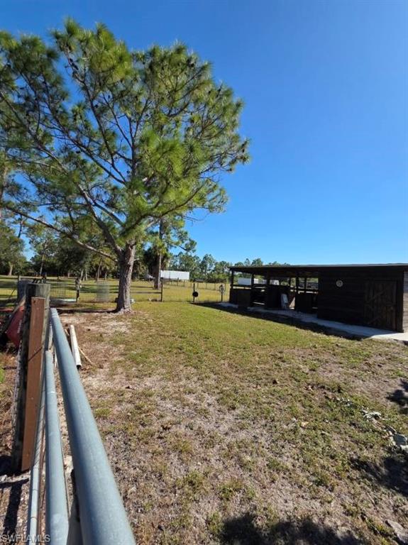 View of yard