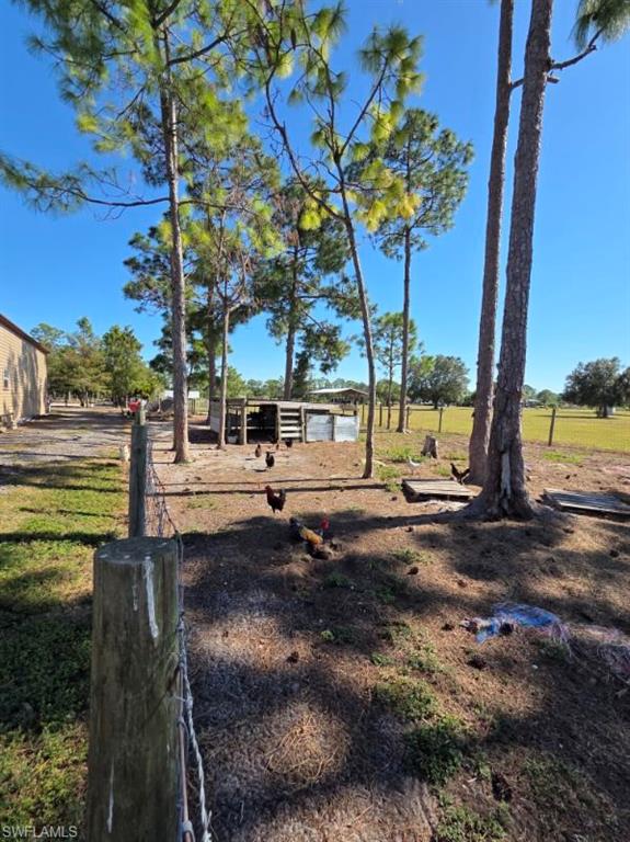View of yard