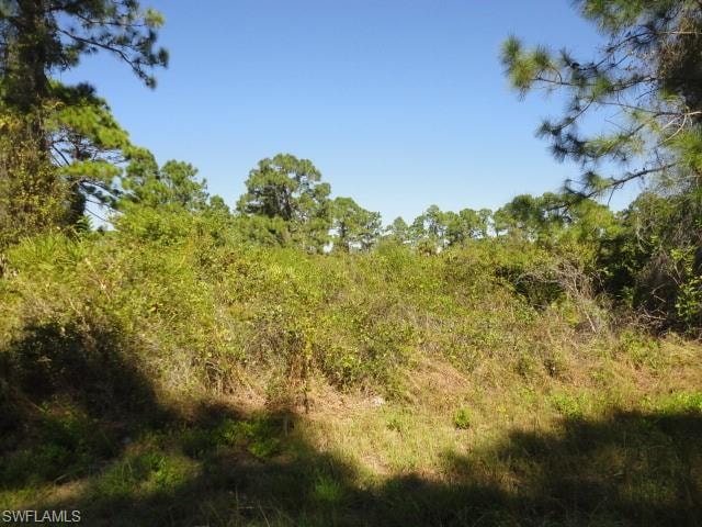View of wooded area