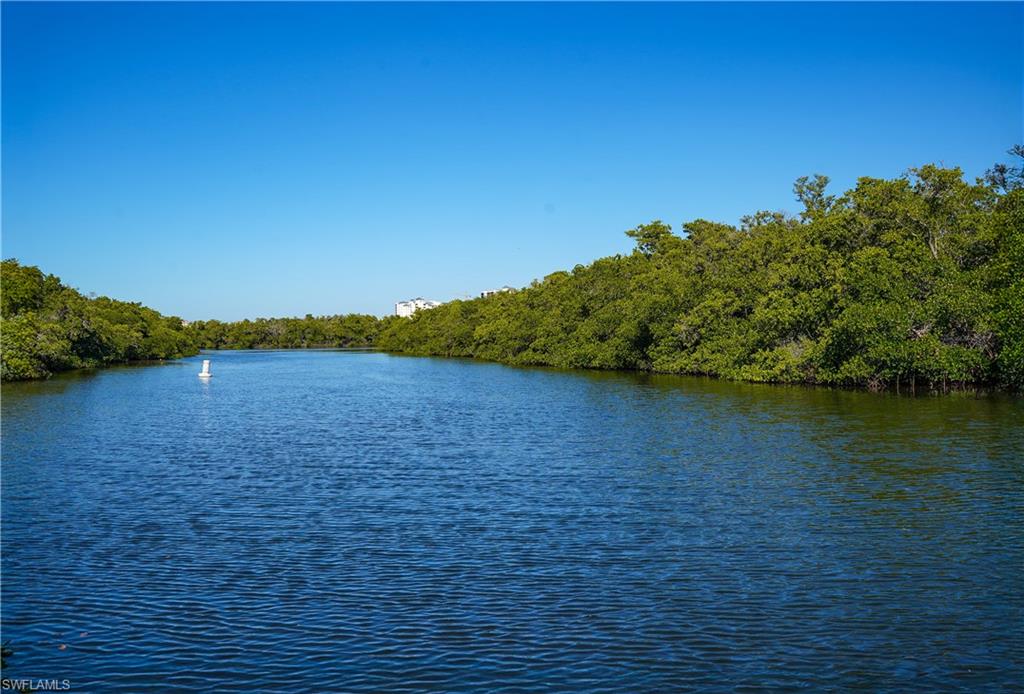 Beautiful Cochatchee River