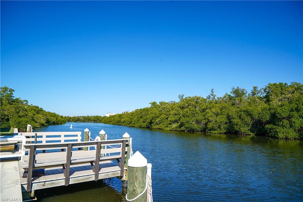 Facing West on the Cocohatchee River