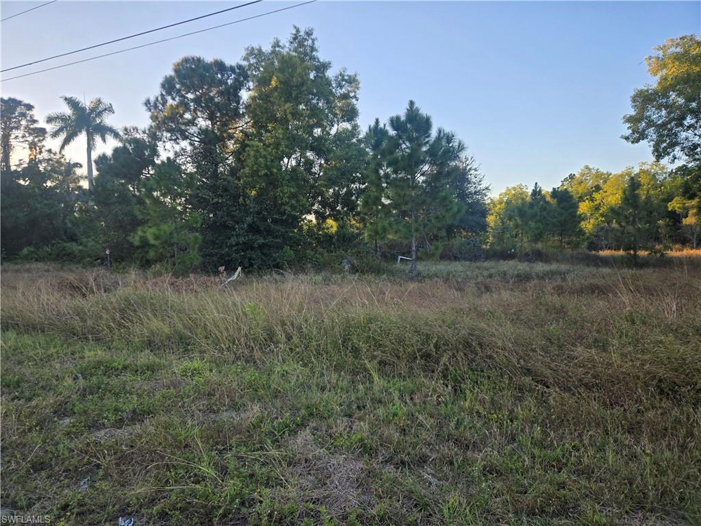 Front of Lot