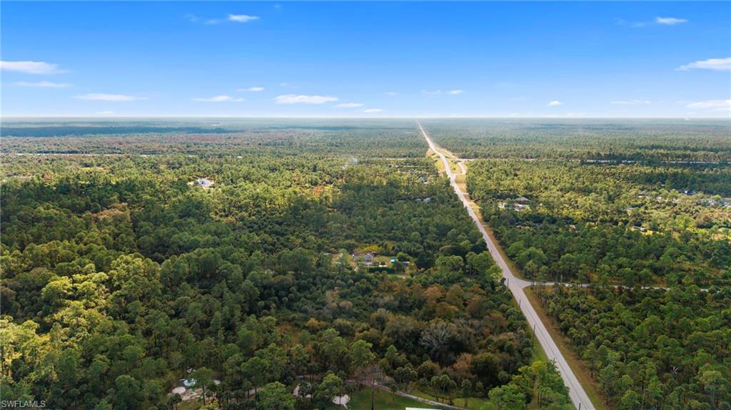 Drone / aerial view of a forest