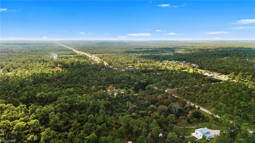 Drone / aerial view of a forest