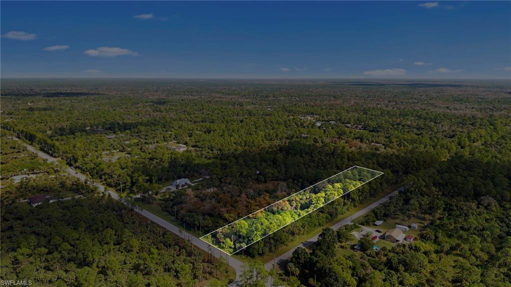 Aerial view of property's location with a forest and property boundaries highlighted