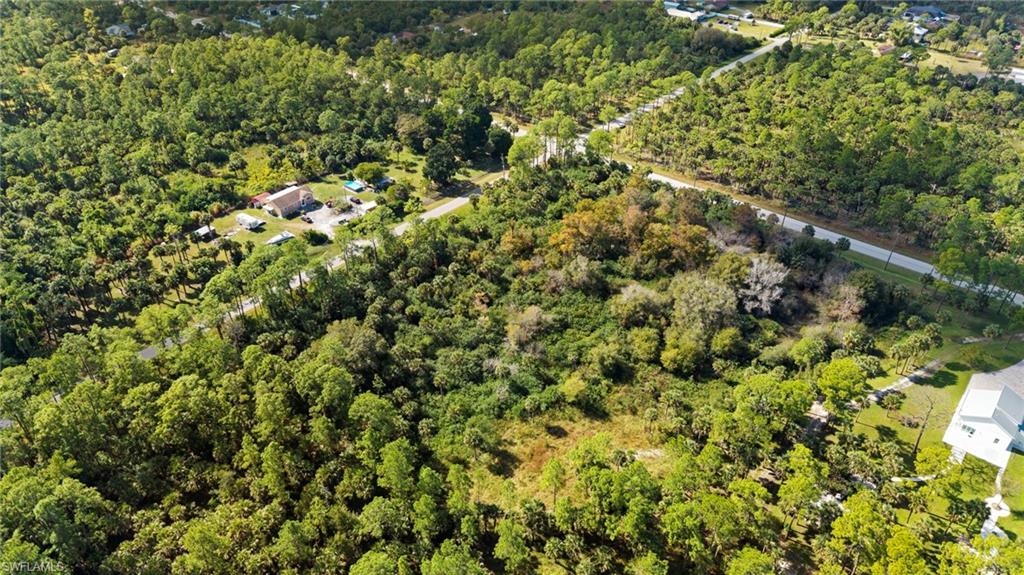 View of property location with a forest