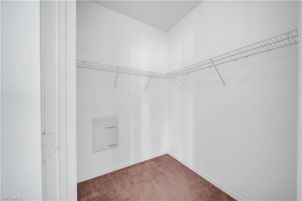 Spacious closet featuring carpet floors