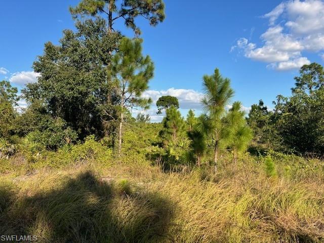 View of undeveloped land