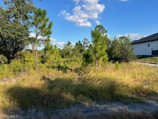 View of undeveloped land