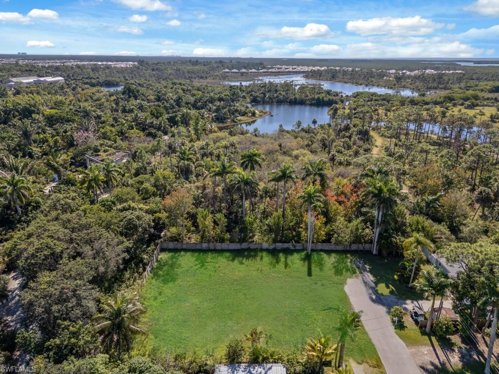 Drone / aerial view of a forest and a nearby body of water