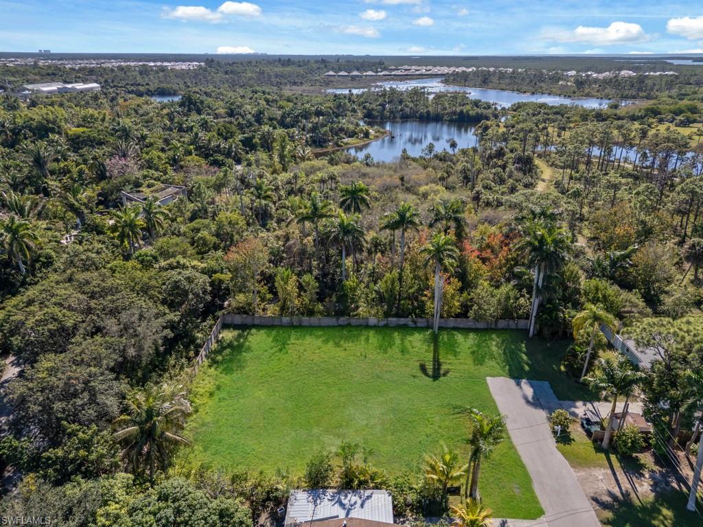 Aerial view of a forest and a nearby body of water
