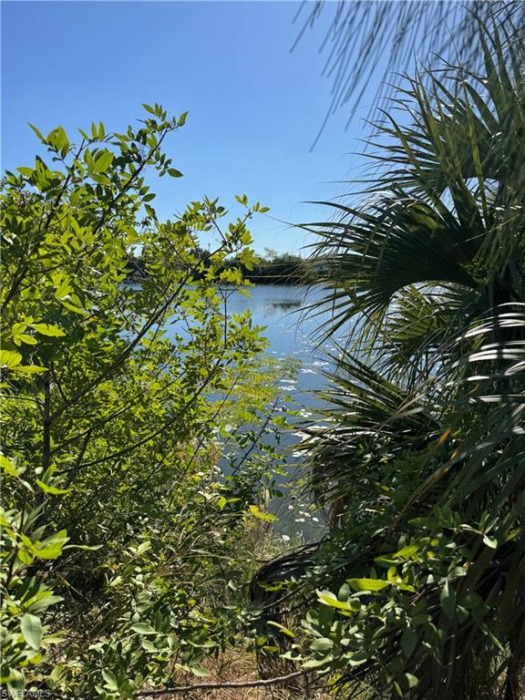 Water view