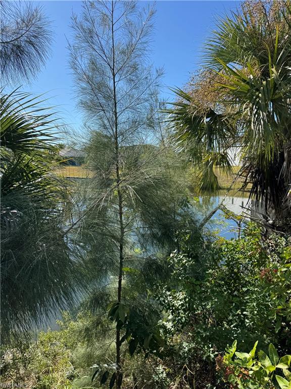 Water view
