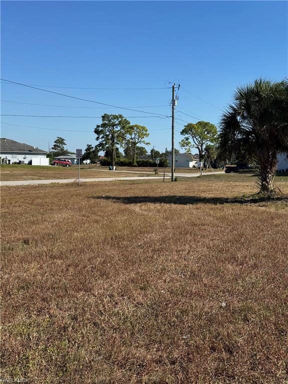 View of grassy yard
