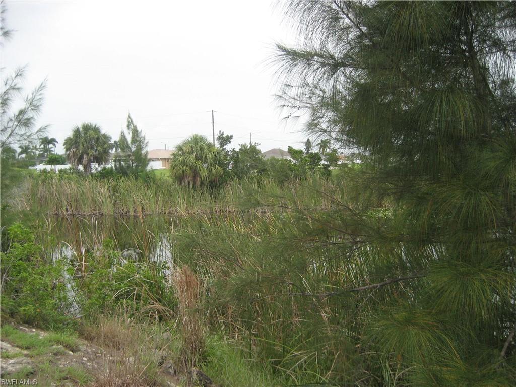 View of nature