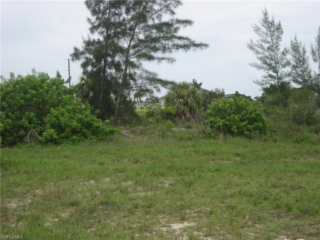 View of undeveloped land