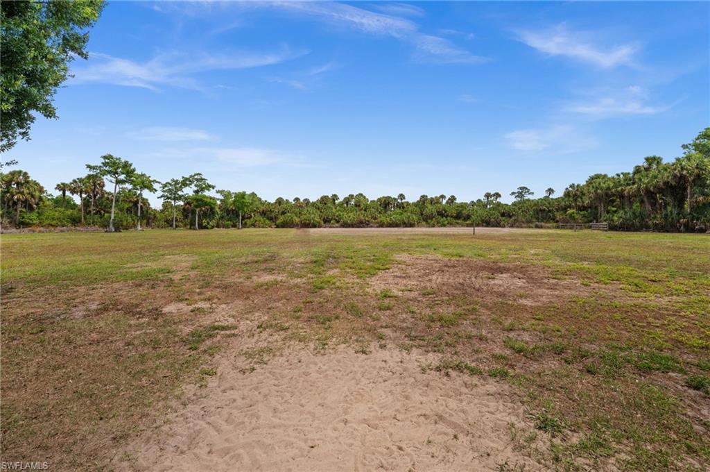 backyard and pastures