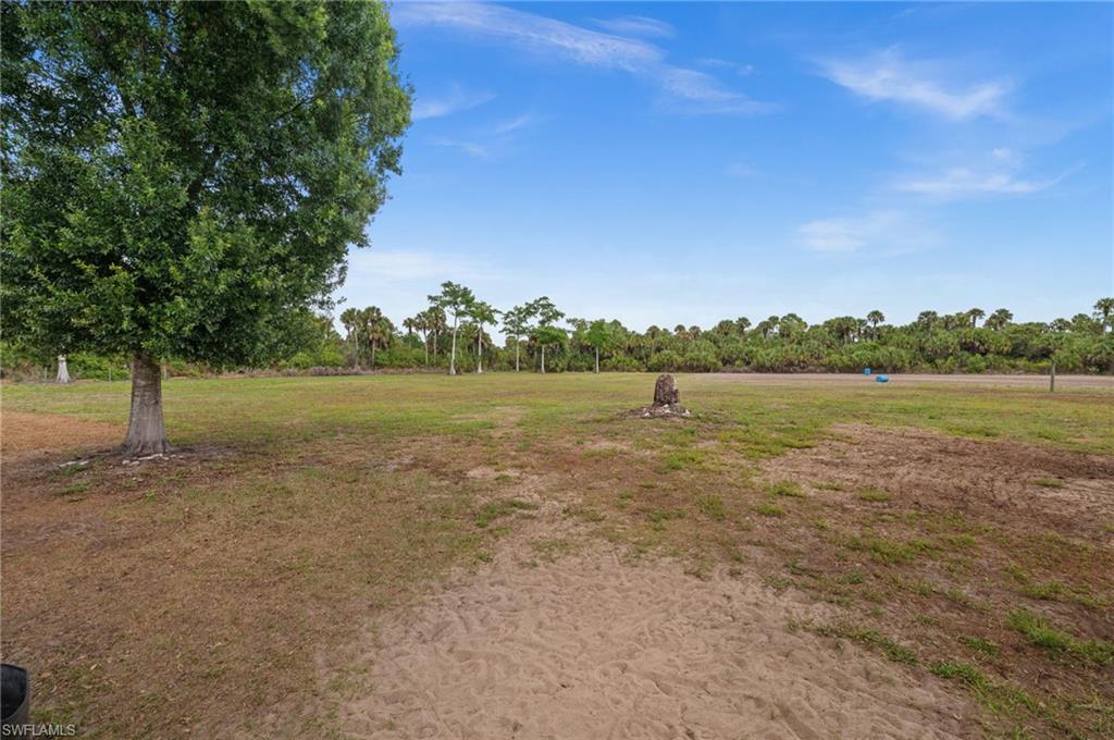 backyard and pastures