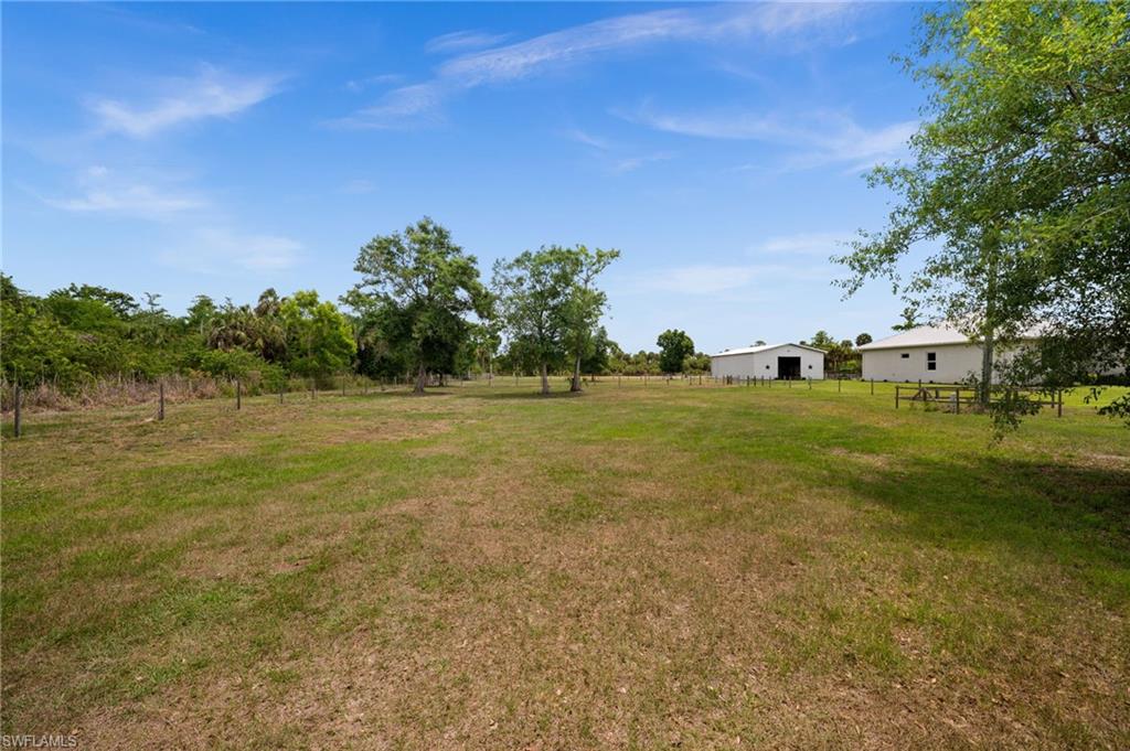 backyard and pastures