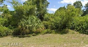 View of undeveloped land