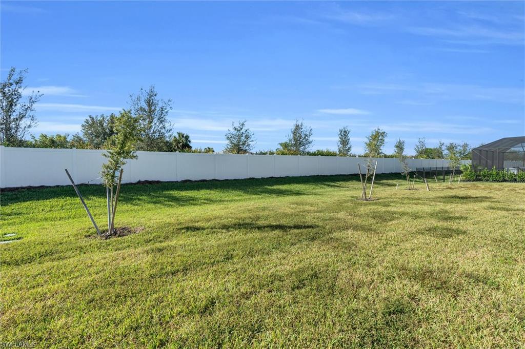 View of fenced backyard