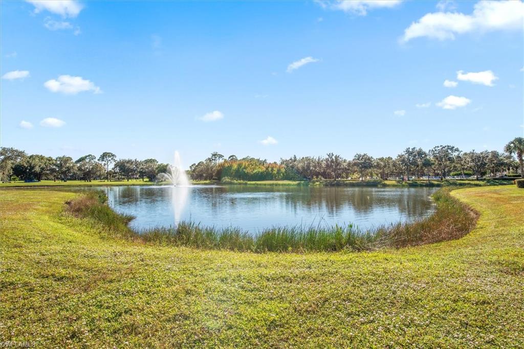 View from rear yard of lake!