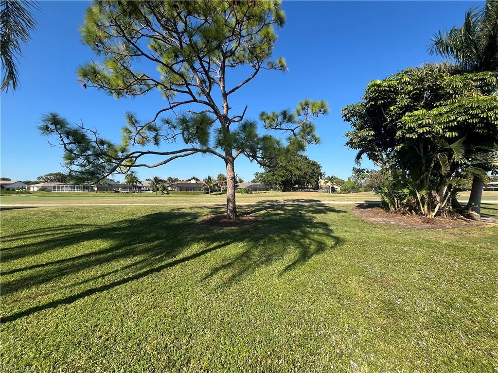 9954 Ortega LN photo 13