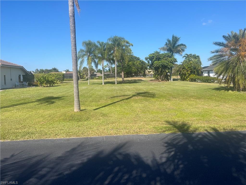 9954 Ortega LN photo 17