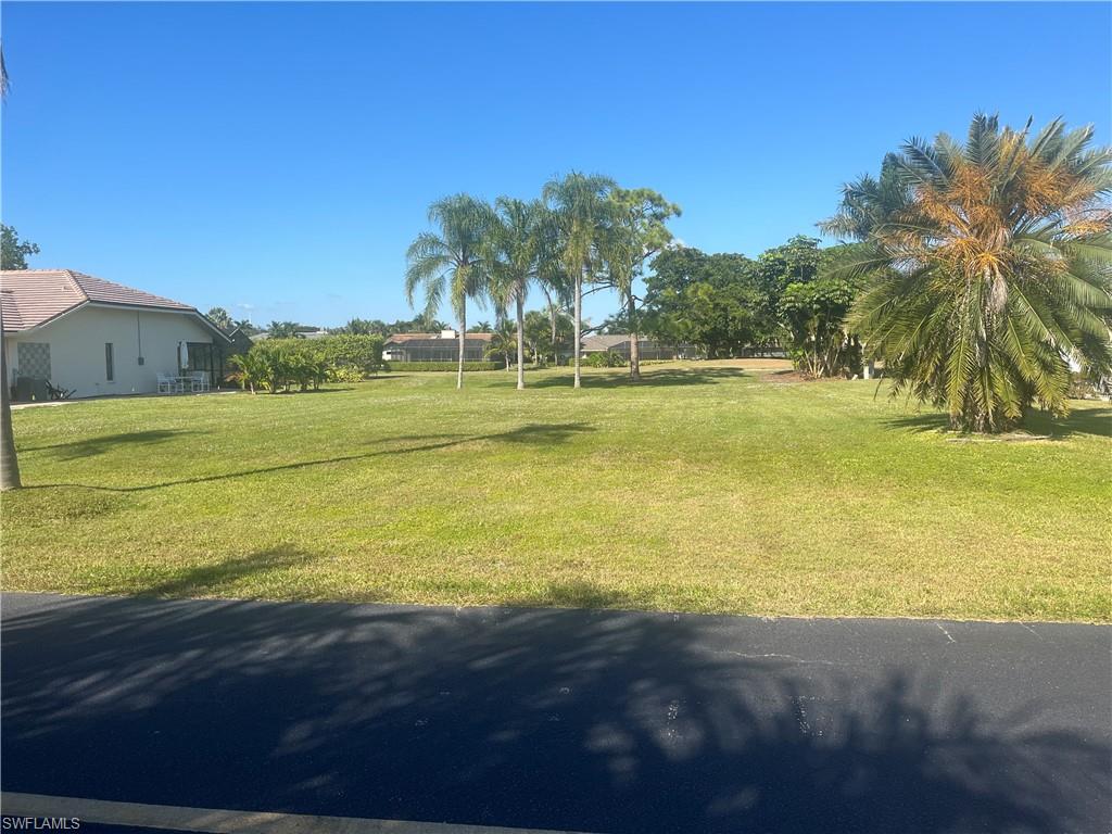 9954 Ortega LN photo 16