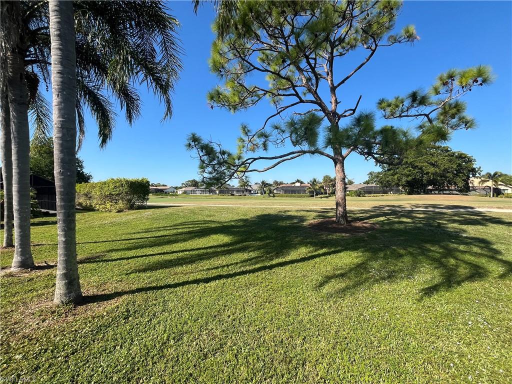 Rear view toward course