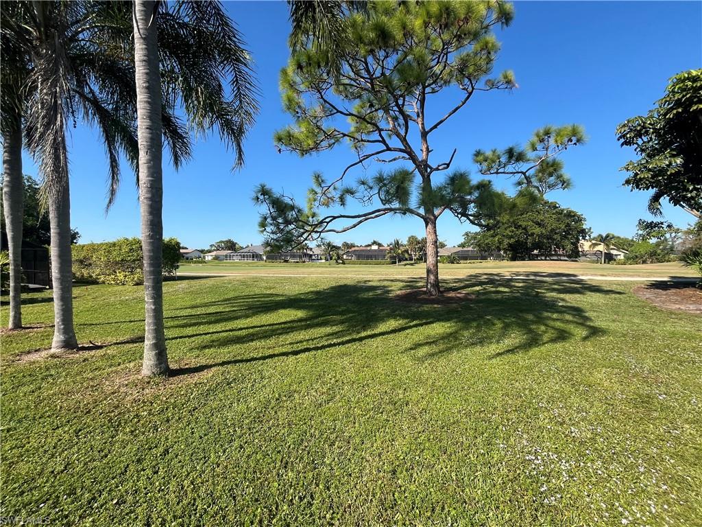 9954 Ortega LN photo 15