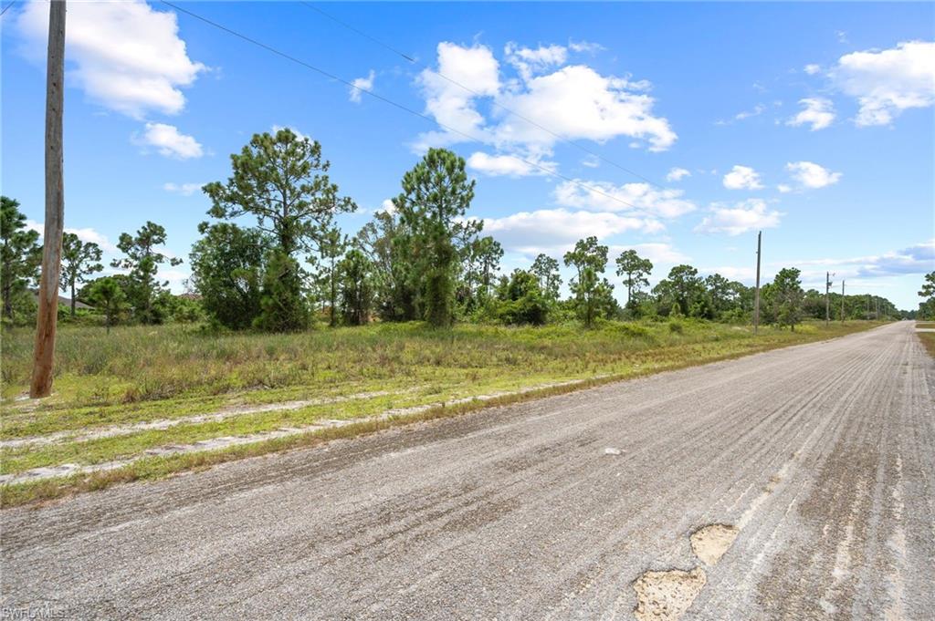 1226 Edelweiss ST E photo 12