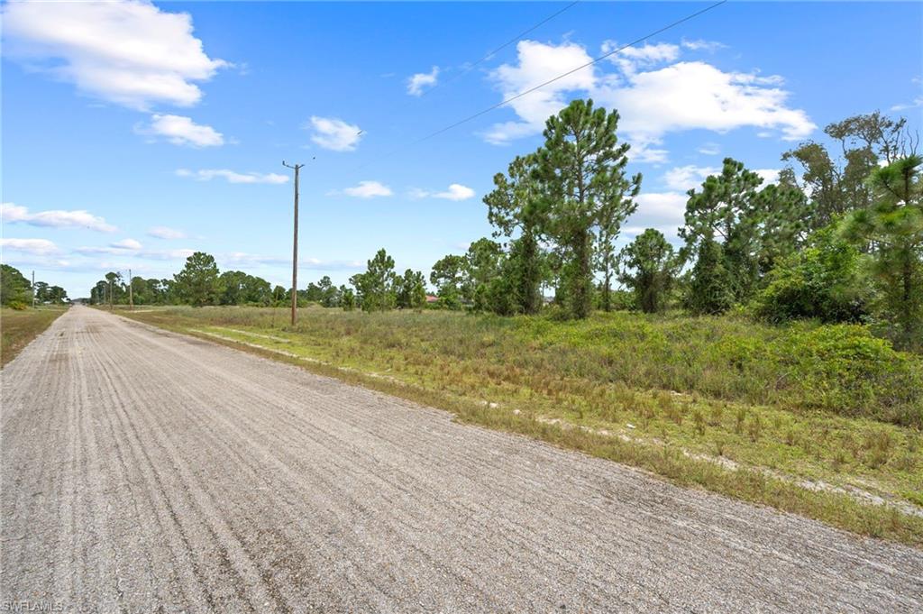 1226 Edelweiss ST E photo 10