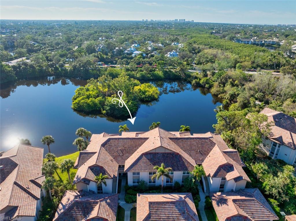 Beautiful eagle eye view of water and preserve