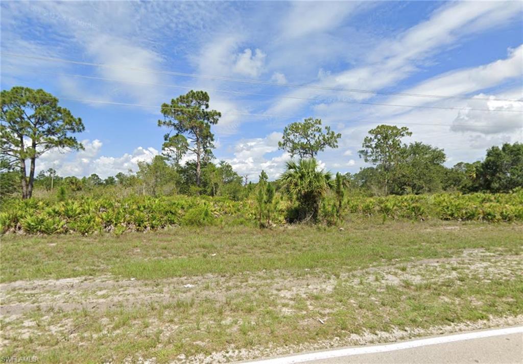 View of undeveloped land