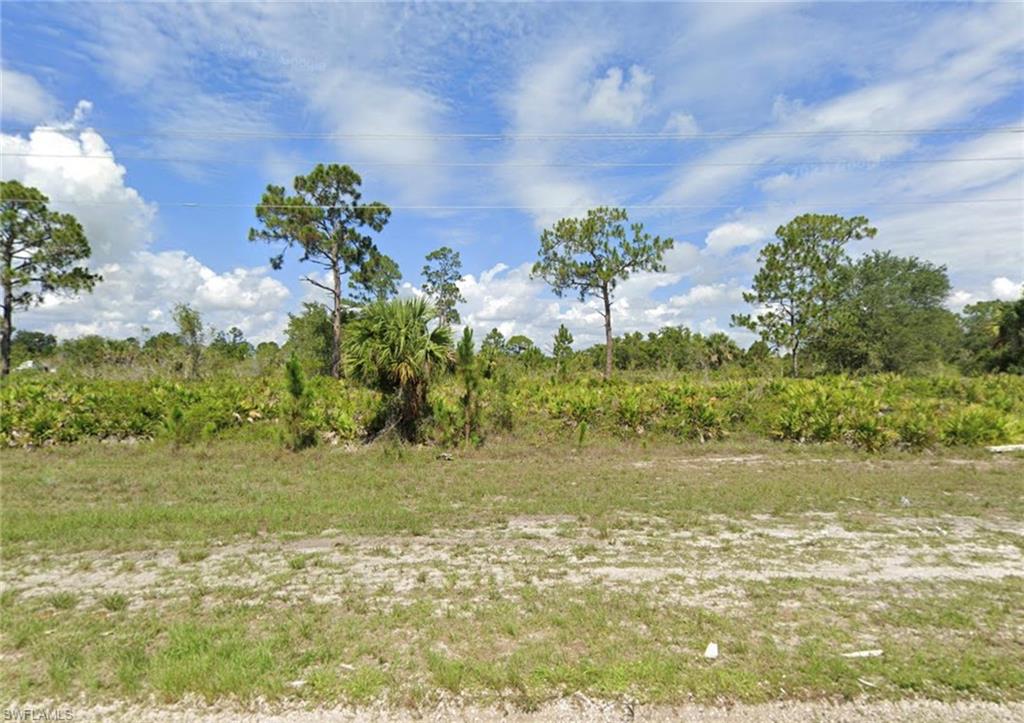 View of local wilderness