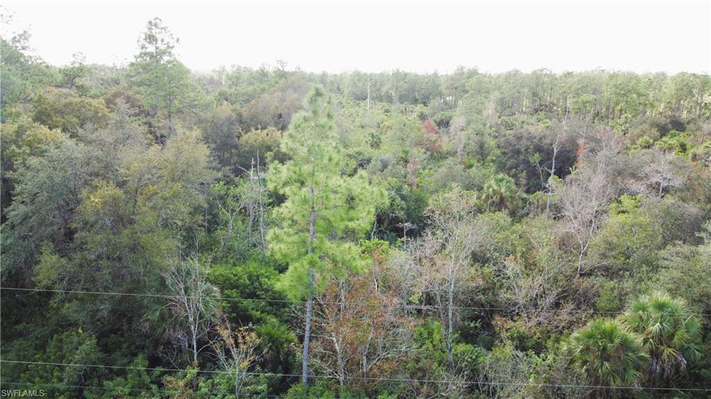 View of wooded area