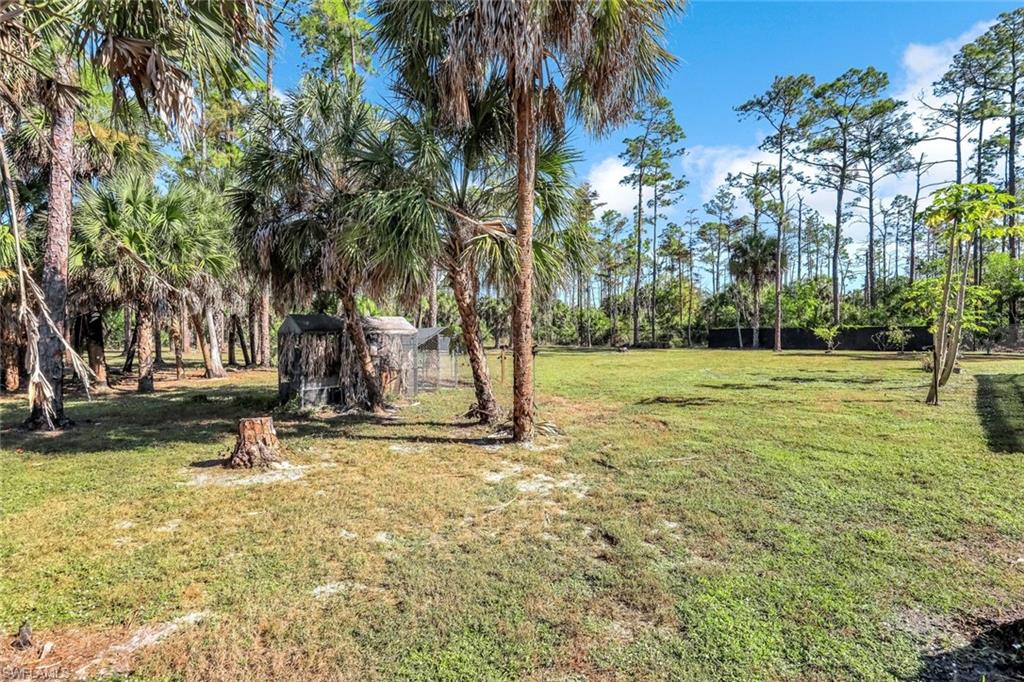 View of grassy yard featuring view of wooded area
