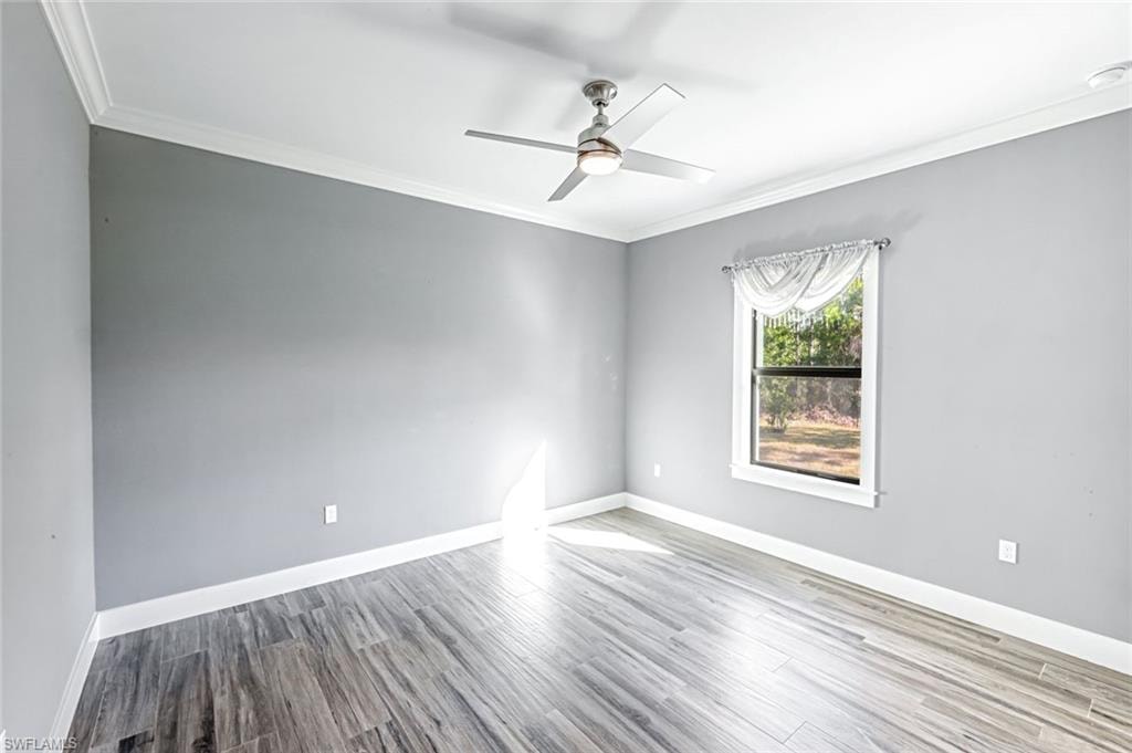 Unfurnished room with crown molding, light wood-type flooring, and a ceiling fan