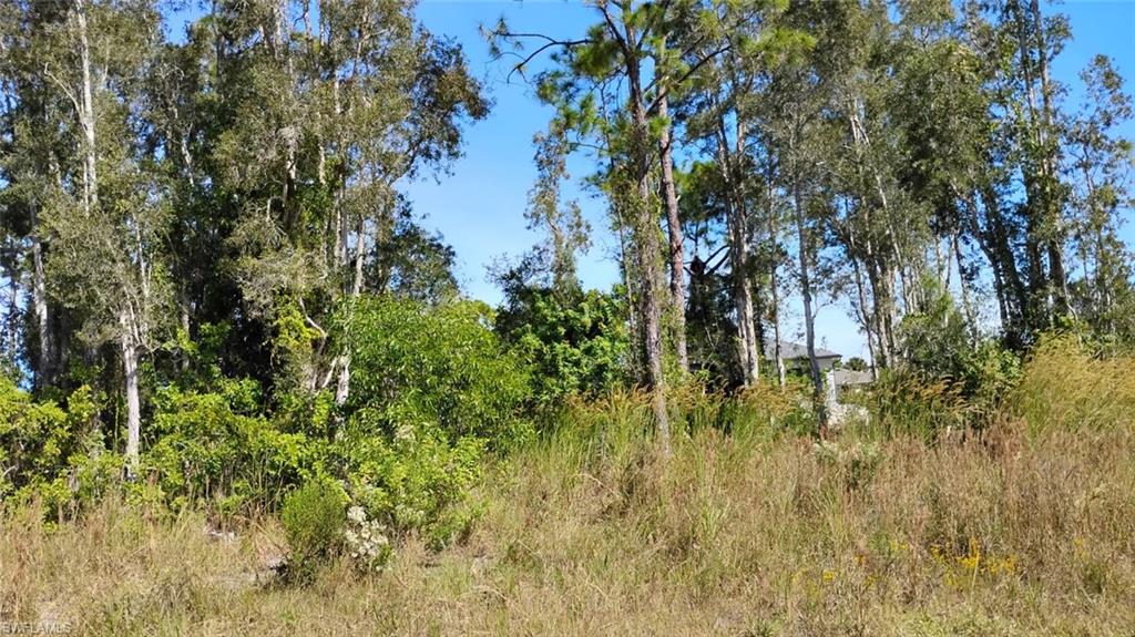 View of undeveloped land