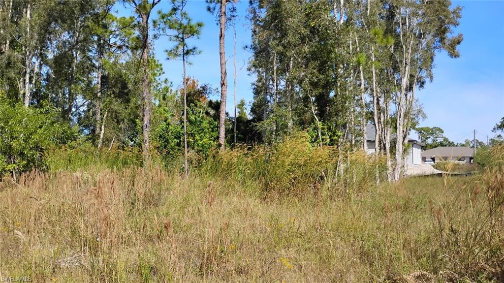 View of undeveloped land