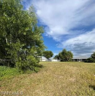 View of grassy yard