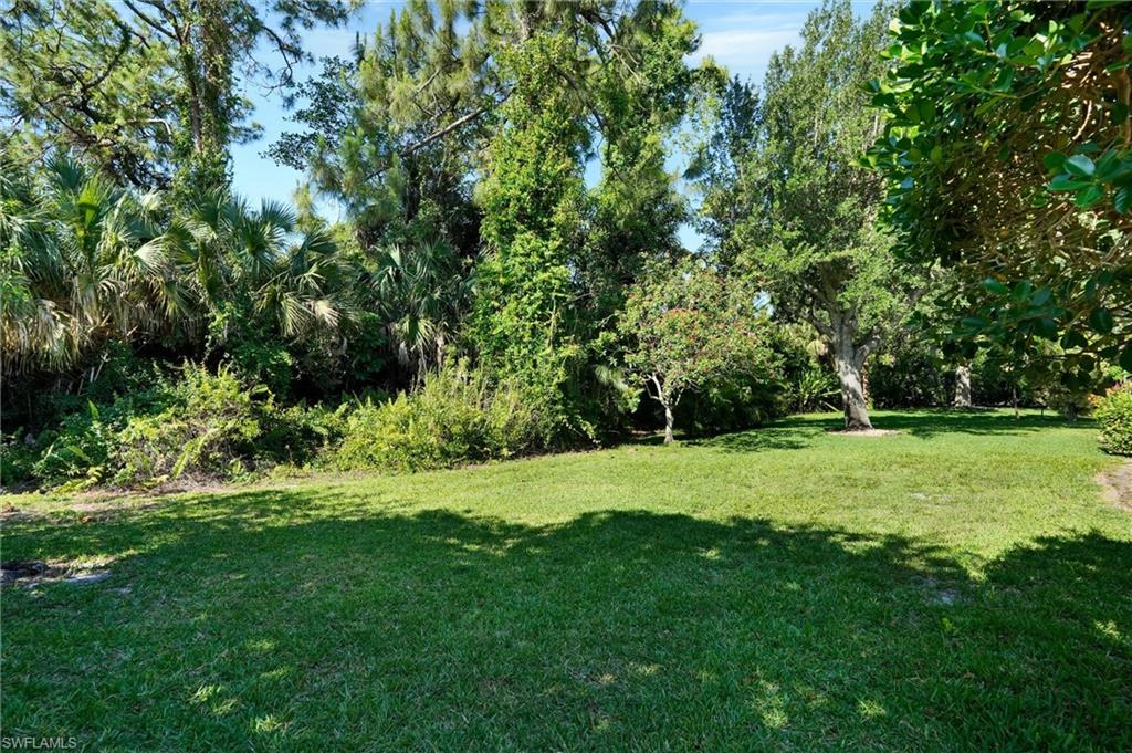 Expansive green lawn with mature trees and dense natural foliage bordering the property