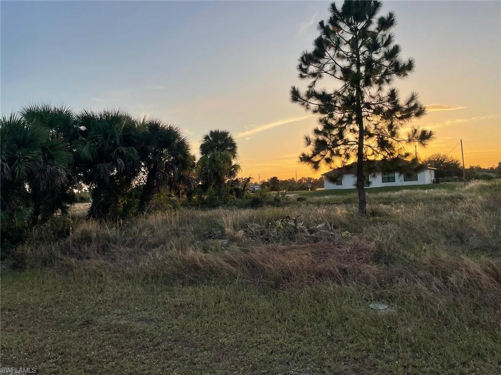 View of undeveloped land